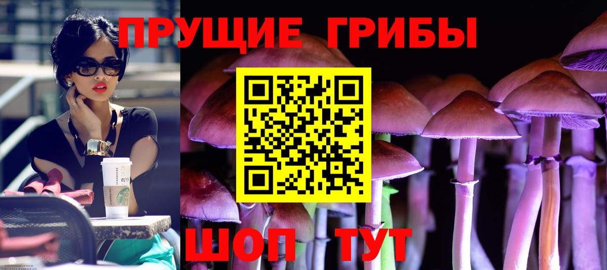 Галлюциногенные грибы прущие грибы  купить наркотик  Галлюциногенные грибы MAGIC MUSHROOMS  Сарапул  Вход с VPN 